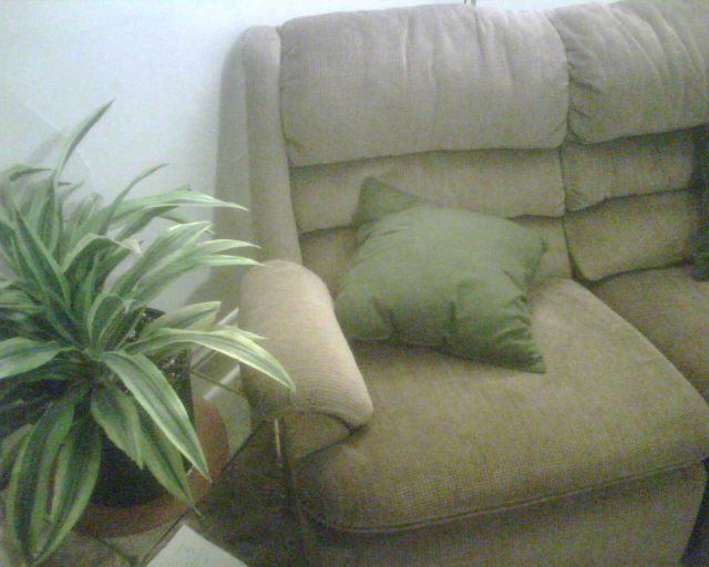 couch2.png