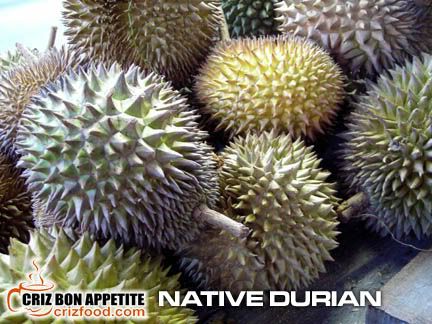 NATIVEDURIAN