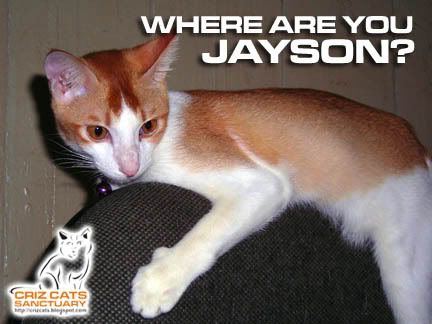 MISSINGJAYSON01