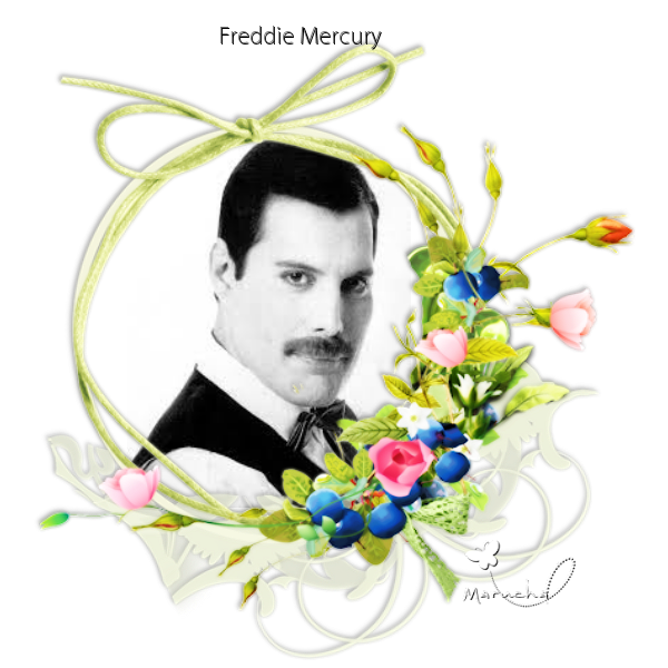  photo FREDDIE MERCURY_zpsufbspf6g.png