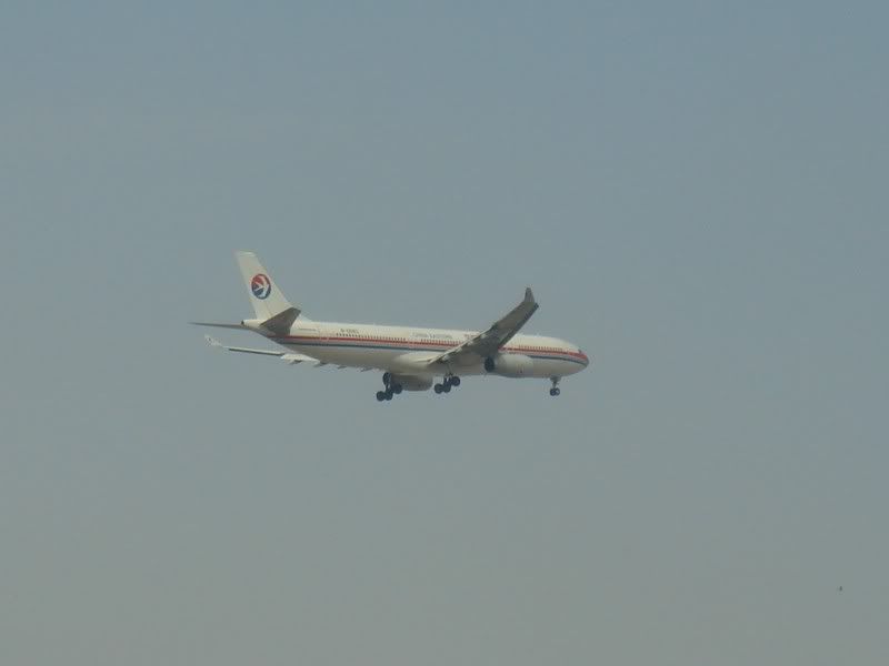 DSC02335.jpg