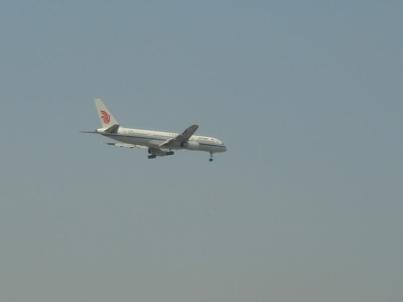 DSC02338.jpg