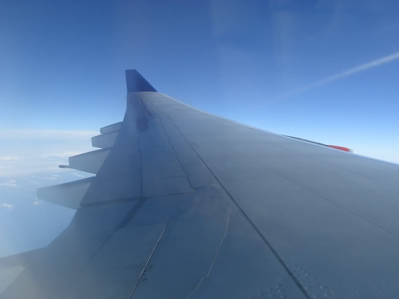 DSC02446.jpg