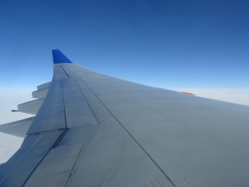 DSC02468.jpg