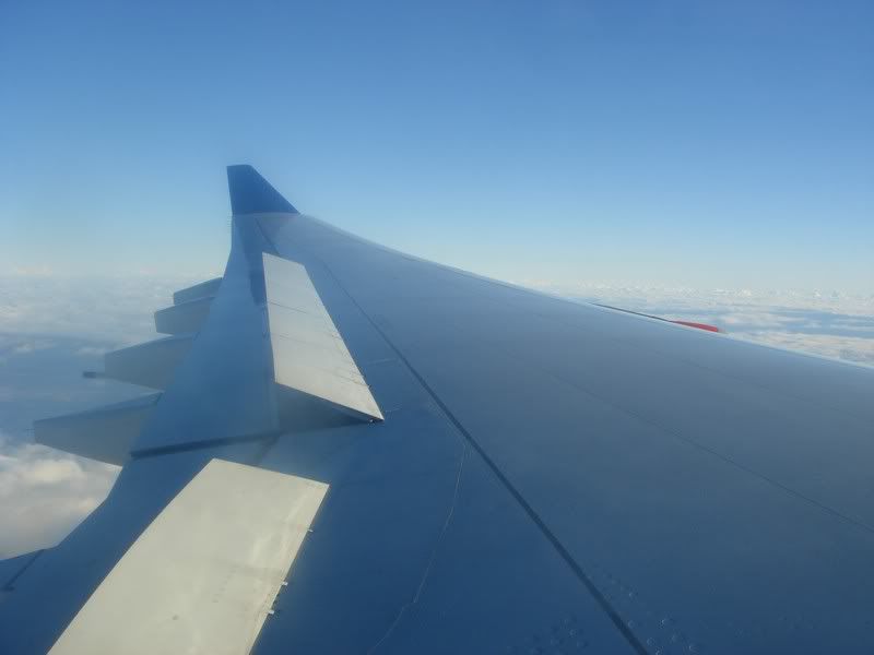 DSC02480.jpg