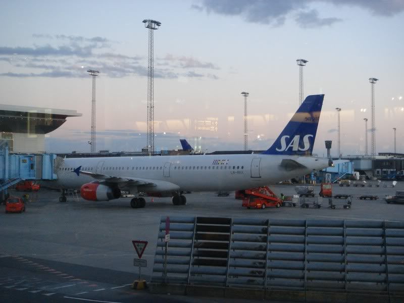 DSC02511.jpg