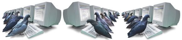 google pigeon system