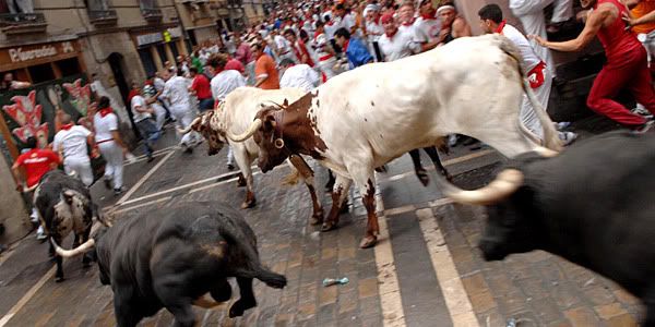 running bulls