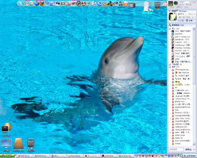 my desktop screenshot (on MicroSoft Windows XP)