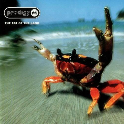 The Prodigy【The Fat Of The Land】