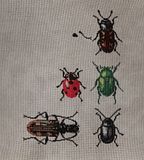 BugCollectionScan.jpg Bug Collection image by codocat