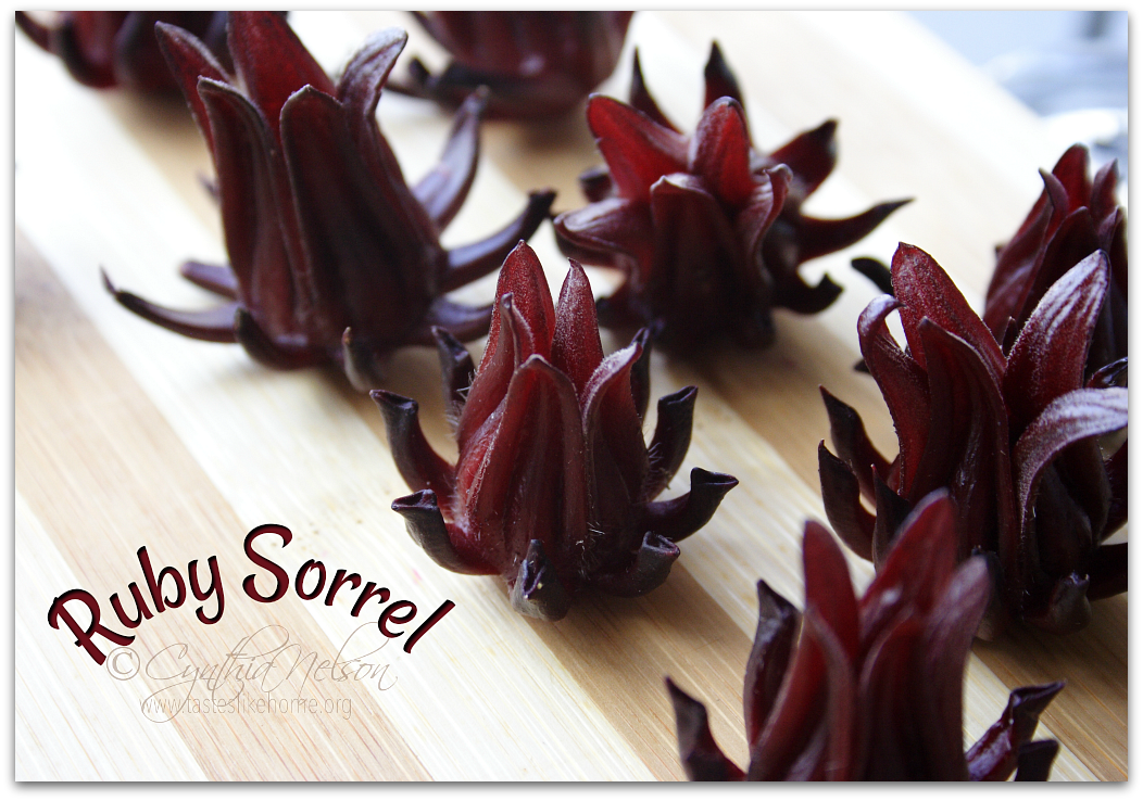 photo ruby sorrel2_zps4u0dzbgs.png
