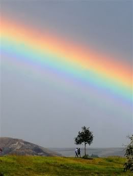 rainbow-1.jpg