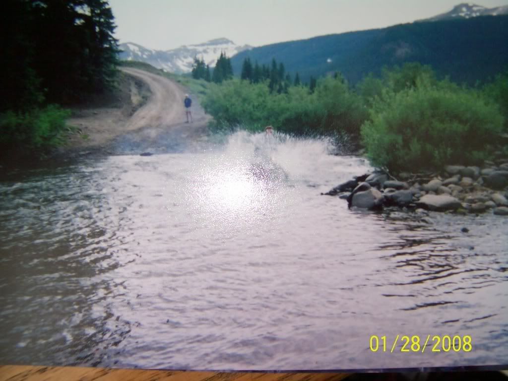 Posted Image