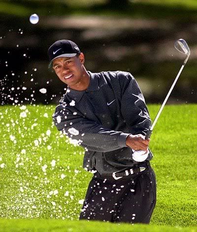 Tiger Woods Swinging Golf Club