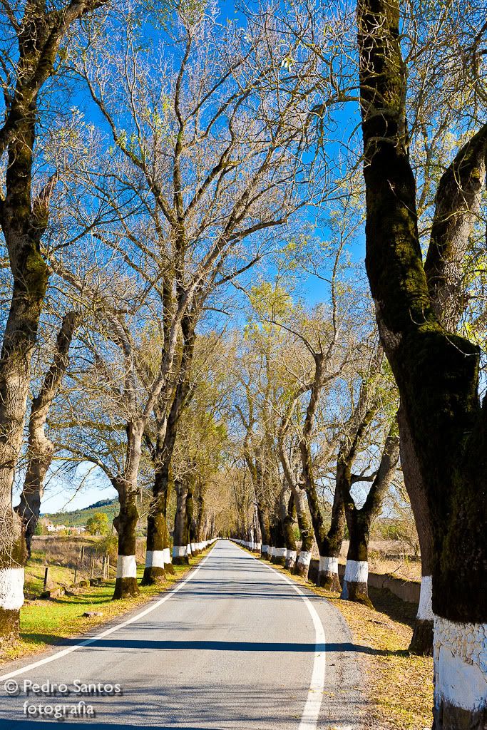 IMAGE: http://i178.photobucket.com/albums/w280/pspentax/IMG_0228.jpg