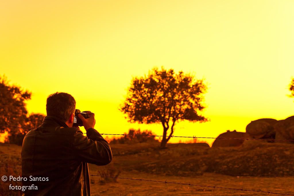 IMAGE: http://i178.photobucket.com/albums/w280/pspentax/IMG_0284-2.jpg