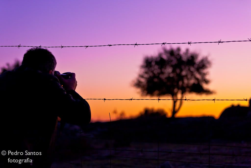 IMAGE: http://i178.photobucket.com/albums/w280/pspentax/IMG_0286-2.jpg