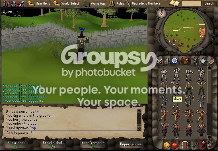 User Image