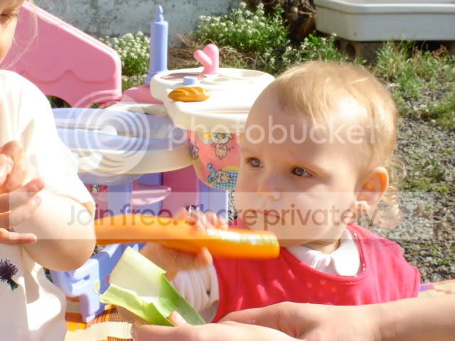 Photo Sharing and Video Hosting at Photobucket