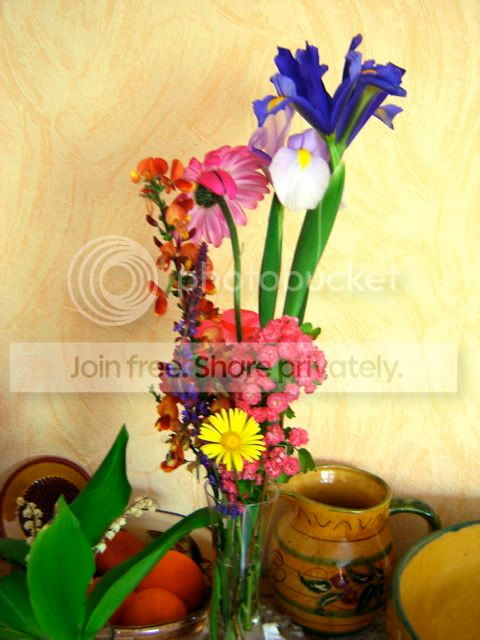 Photo Sharing and Video Hosting at Photobucket