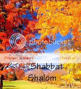 Indian Summer Shabbat Photo by Sinomor | Photobucket