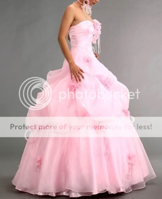 Brauch Hochzeitskleid Ballkleid Pink Gestickte Charmant