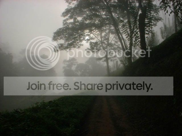 As001.jpg