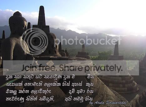 buddha_sun2.jpg