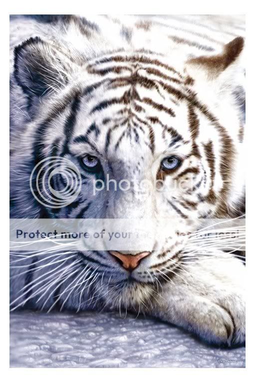 https://i178.photobucket.com/albums/w261/BF2sSigs/white-tiger-poster.jpg