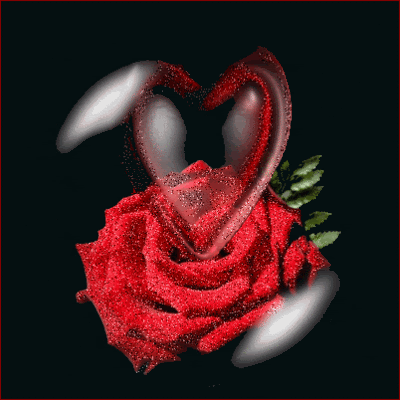 HEART-ROSE-400--.gif