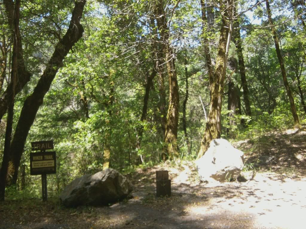 Boise Creek Campground Humboldt County - Calguns.net