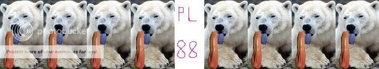 polar-bear-tongue1copy.jpg